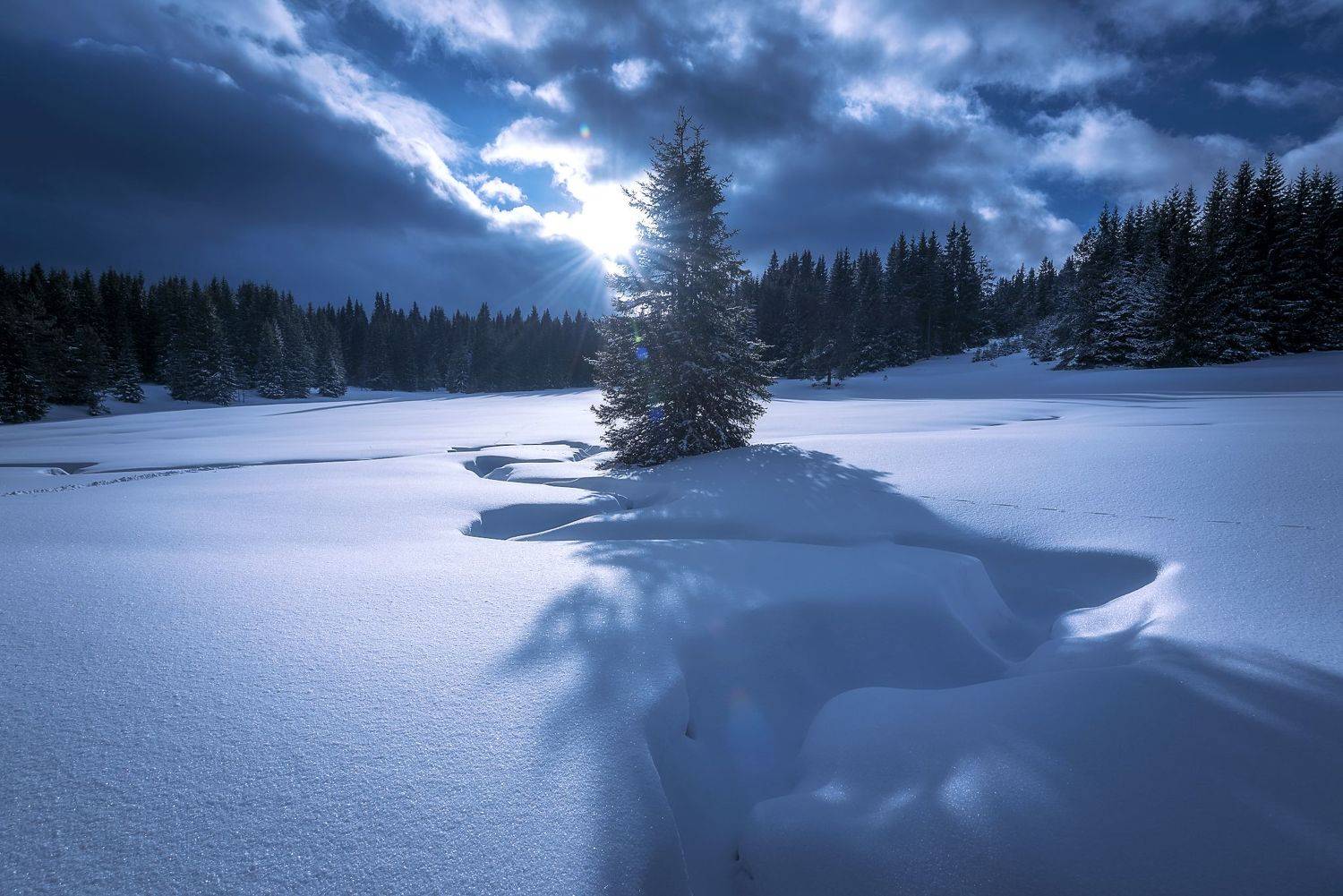 , Mariyana Atanasova - Lucero