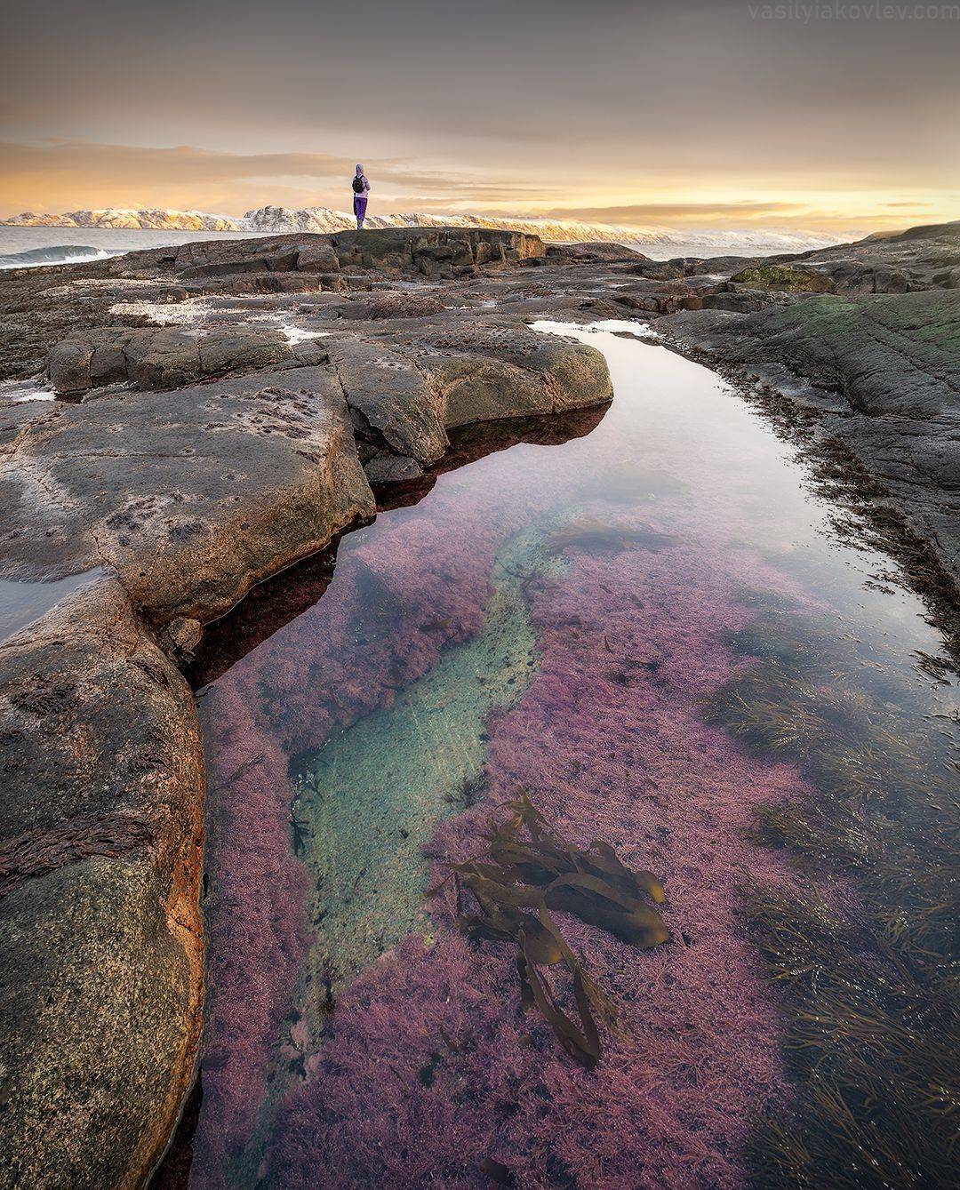 териберка, фототур, яковлевфототур, Василий Яковлев