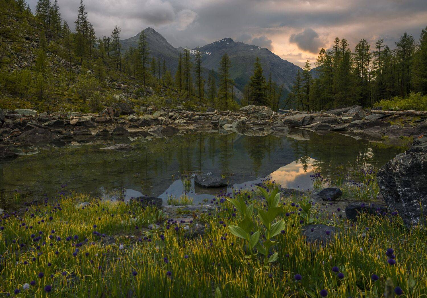 россия, горный алтай, вечер, Андрей Поляков