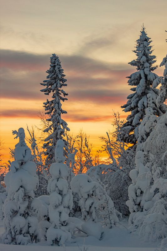 Утро севера фото превью