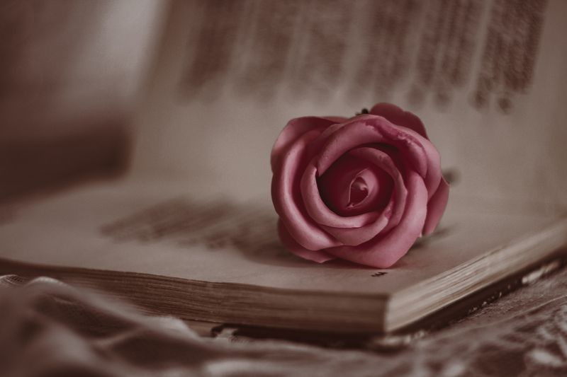 Нежность фото превью