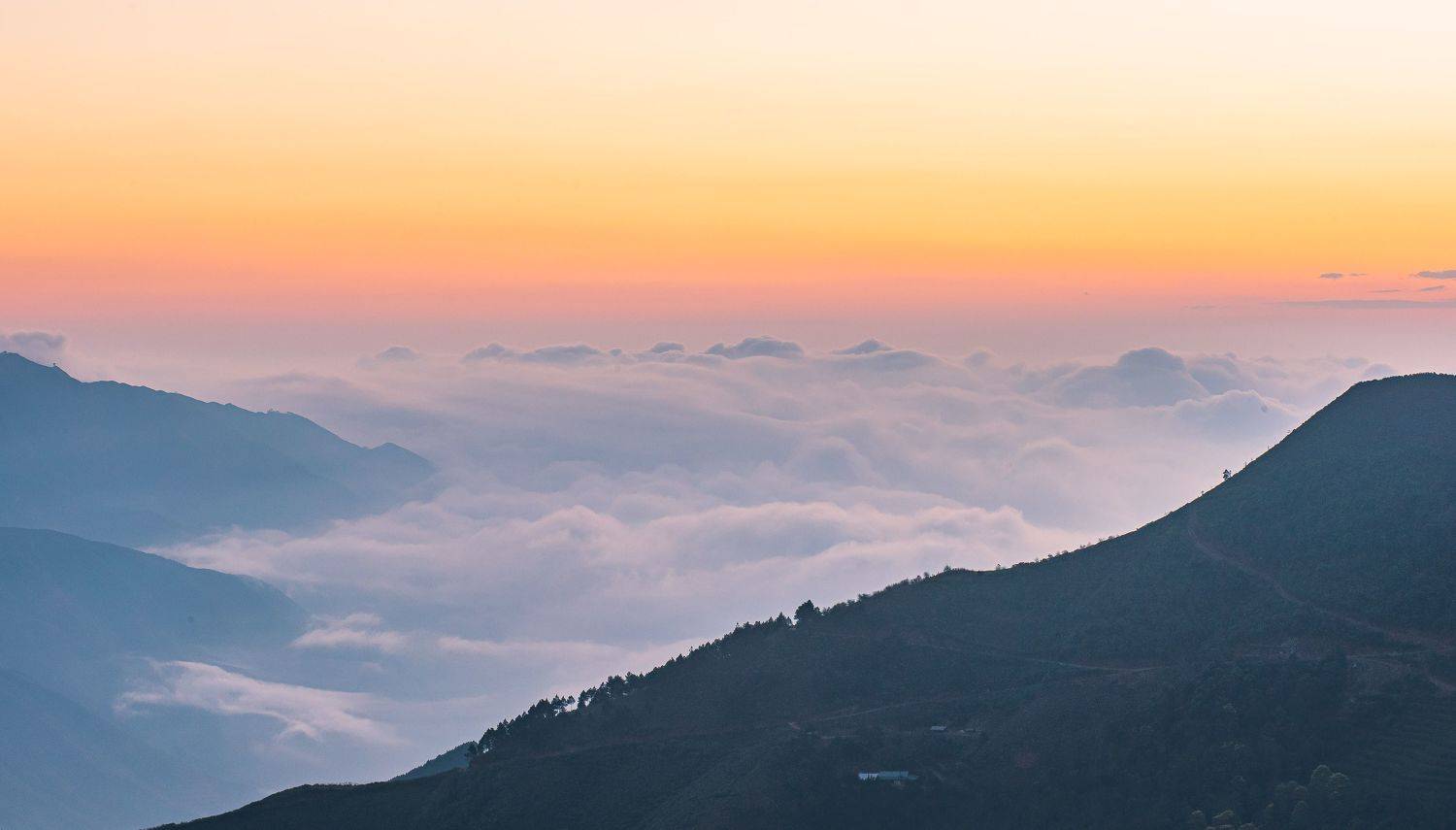 ,  Nguyễn Mạnh Đức