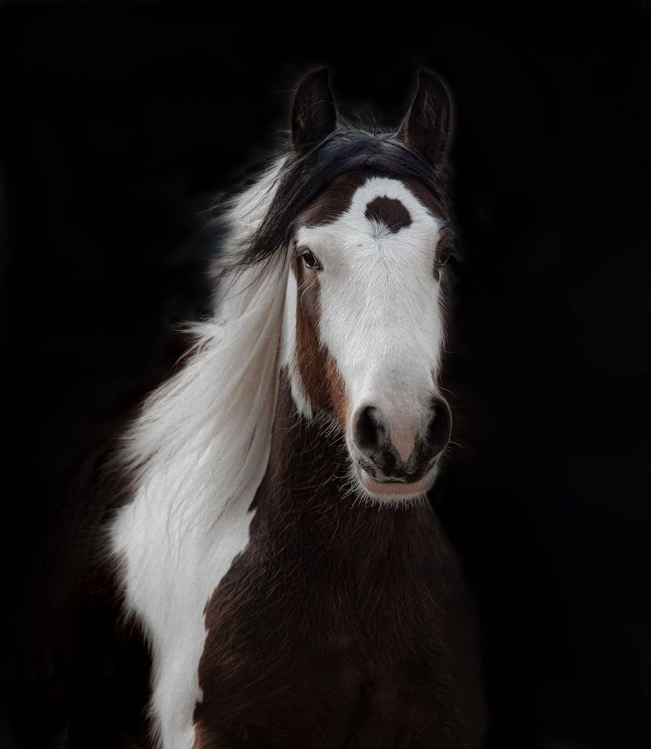 , Черновол Валентин