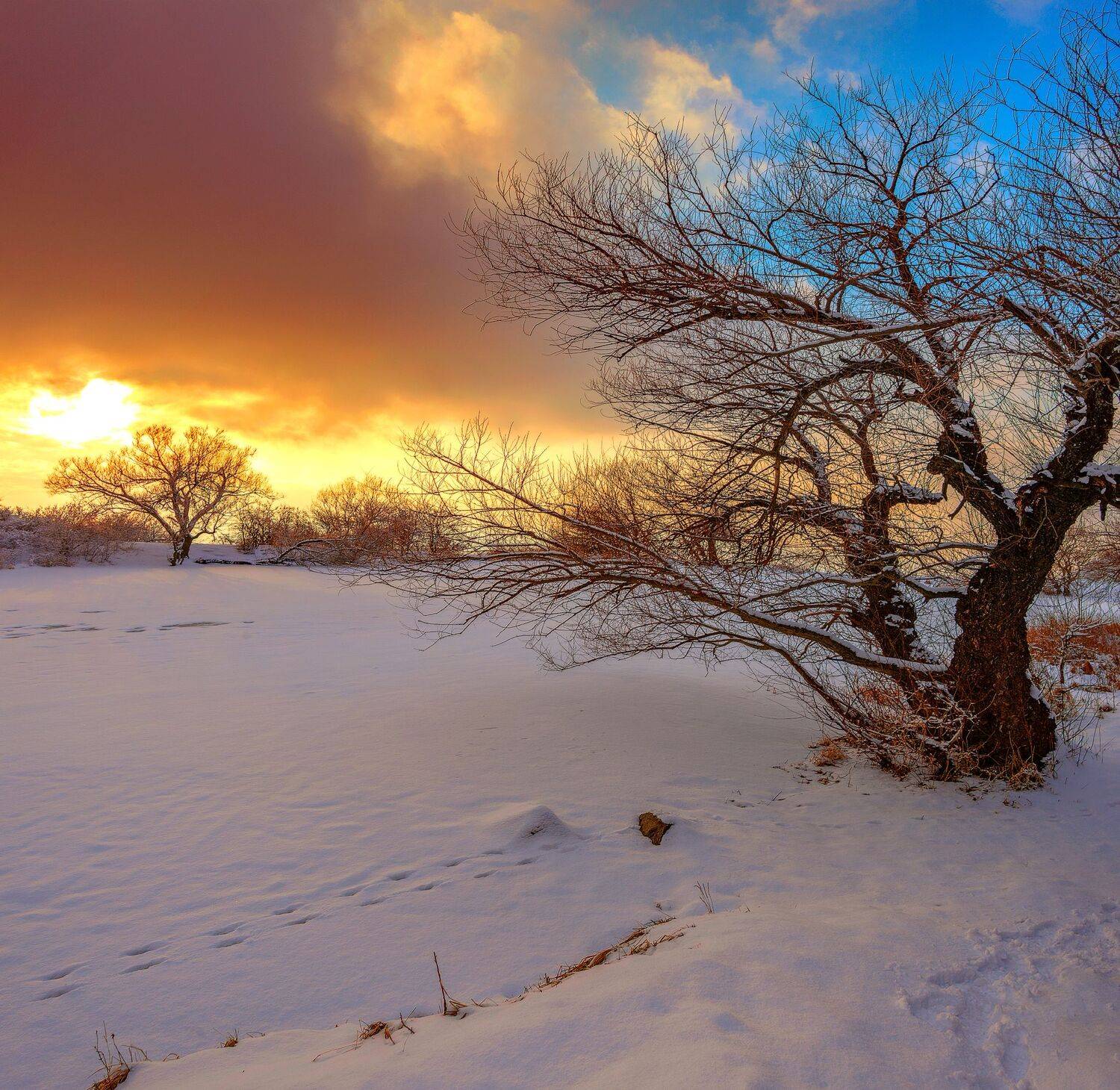 закат,зима,озеро,бештау,природа,пейзаж,брежицкая, Елена Брежицкая