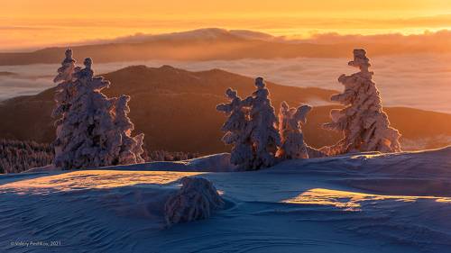 Рассветные образы и характеры Сибирской зимы