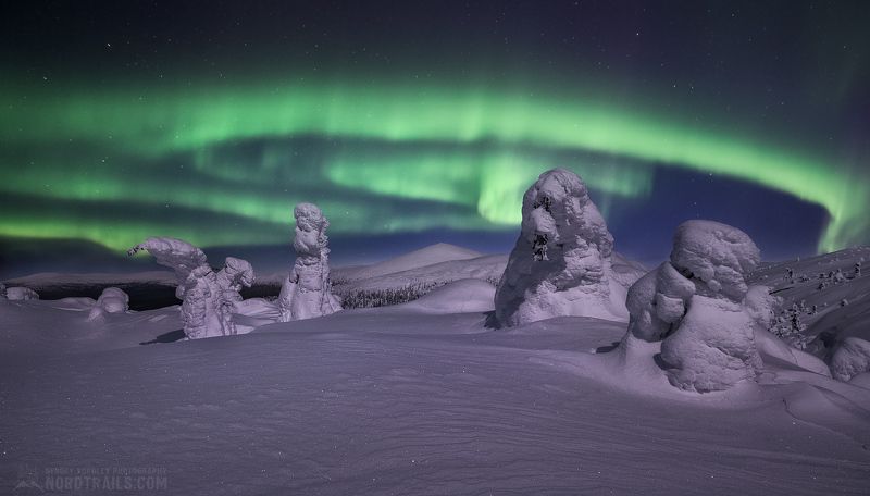 кольский, кольский полуостров, зима, север, Под покровом Её сиятельства фото превью