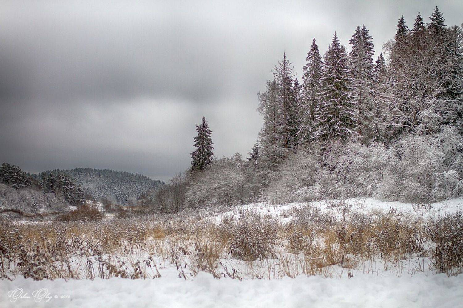 , Орлов Олег