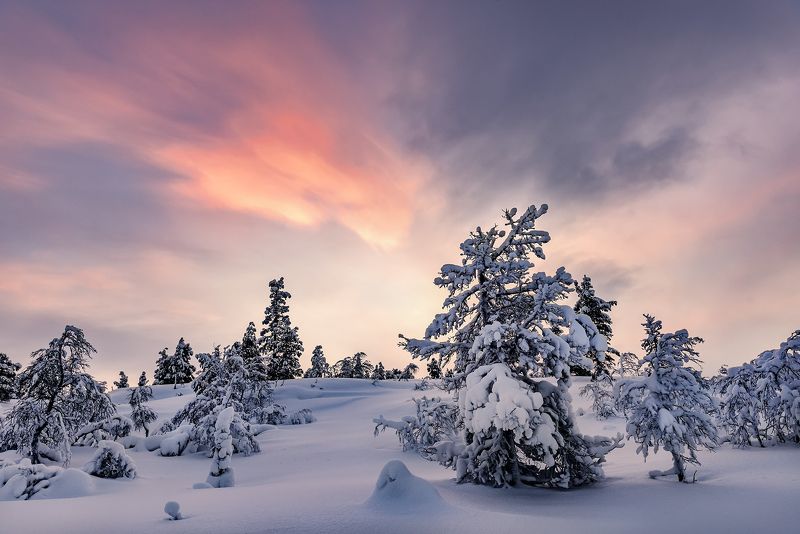 Закат окрасил красками дивными Волосяную сопку фото превью