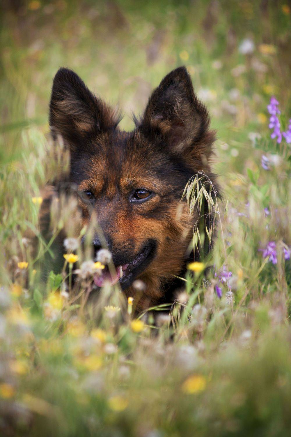 , Алёна Данильчук