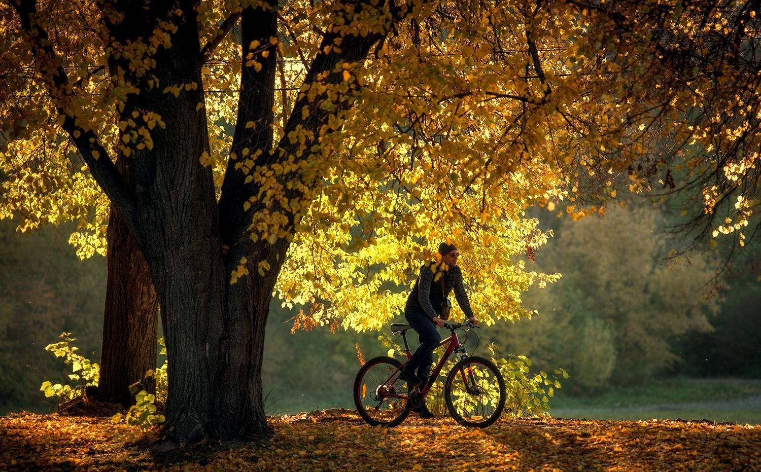 , Юрий Юрьев