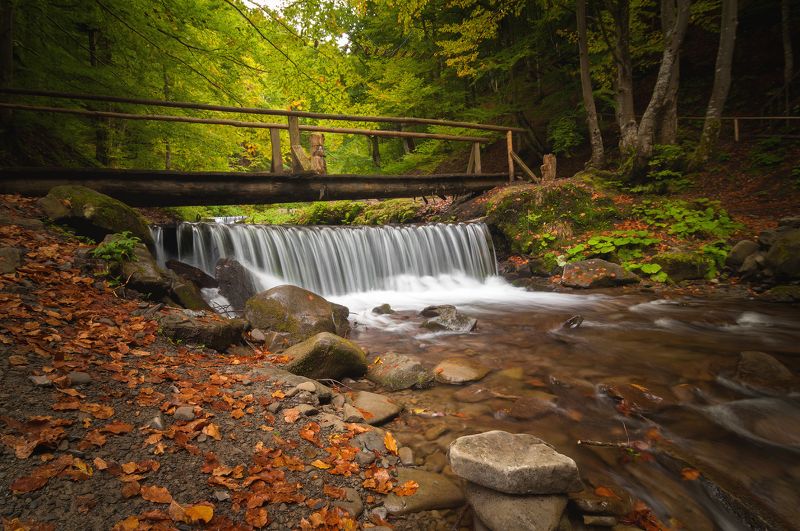 горы, карпаты, водопад, шипот, река, лес, украина Карпаты фото превью