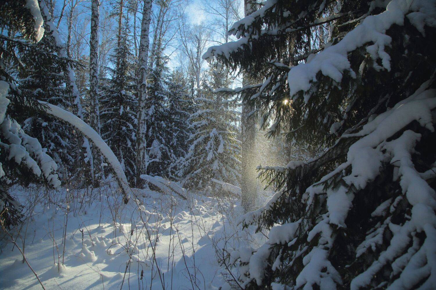 , Евгений Зинов