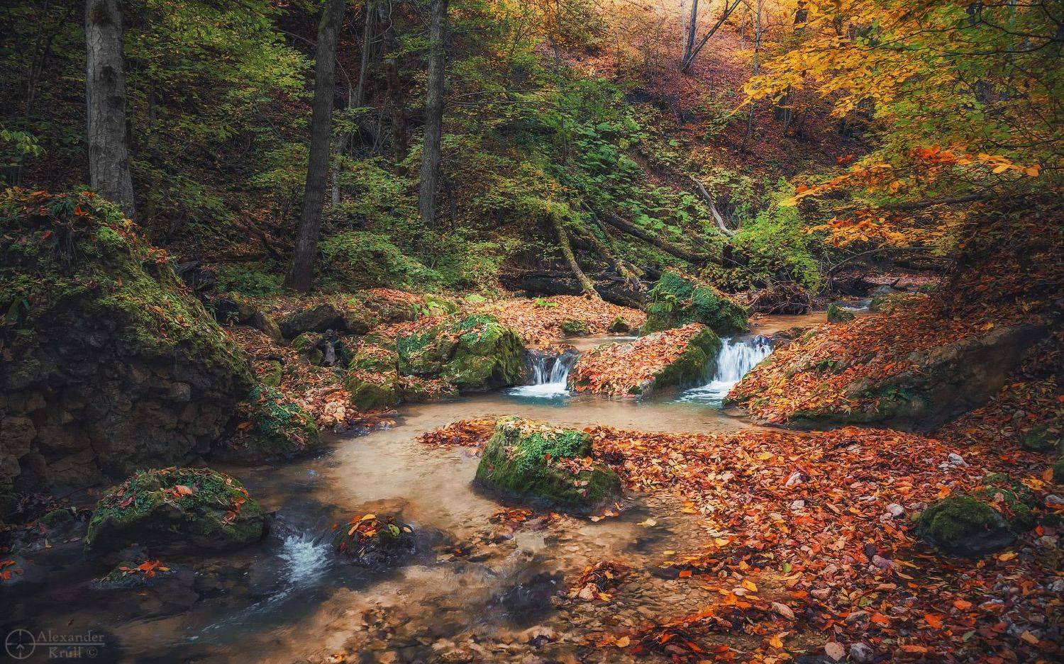 мишоко, Александр Круль