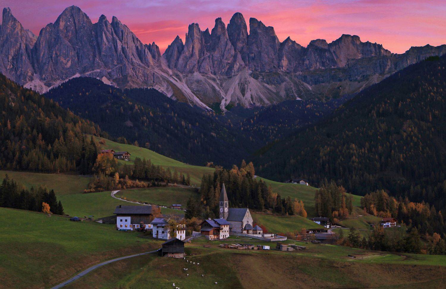 , Милокост Алексей