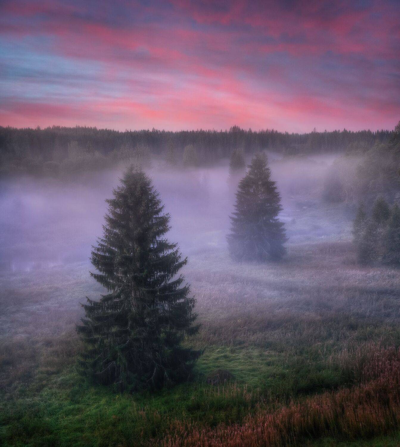 , Андрей Корочкин