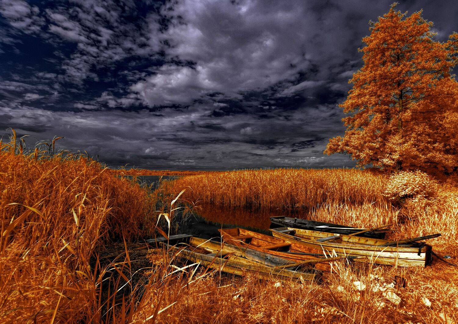 infrared,ик-фото,инфракрасное фото, инфракрасная фотография, пейзаж, лето,  Sixten (Сергей)