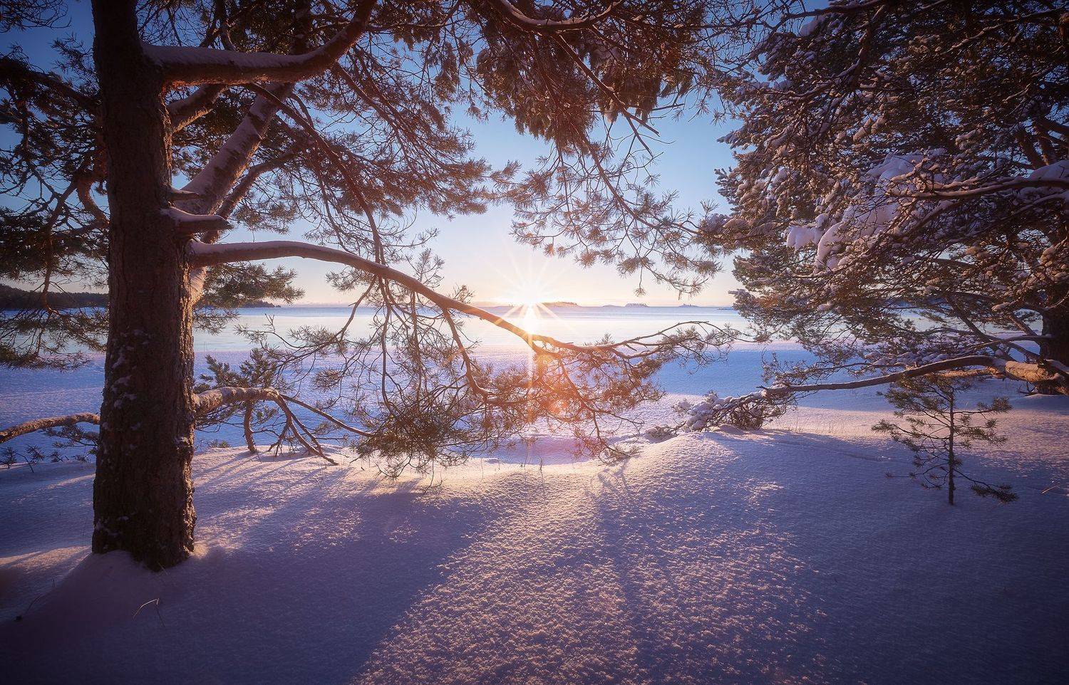 , Антон Кононов