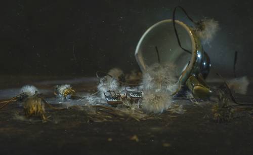 Nihil est aeternum...