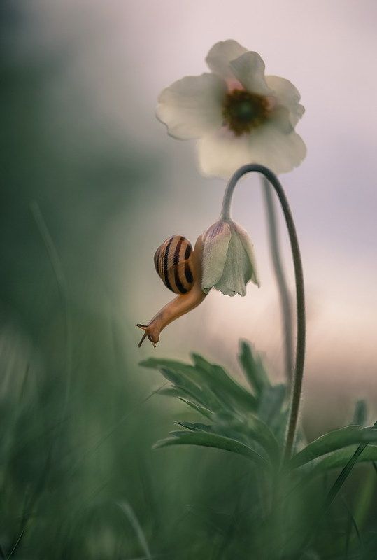 Не все дороги гладкие... фото превью
