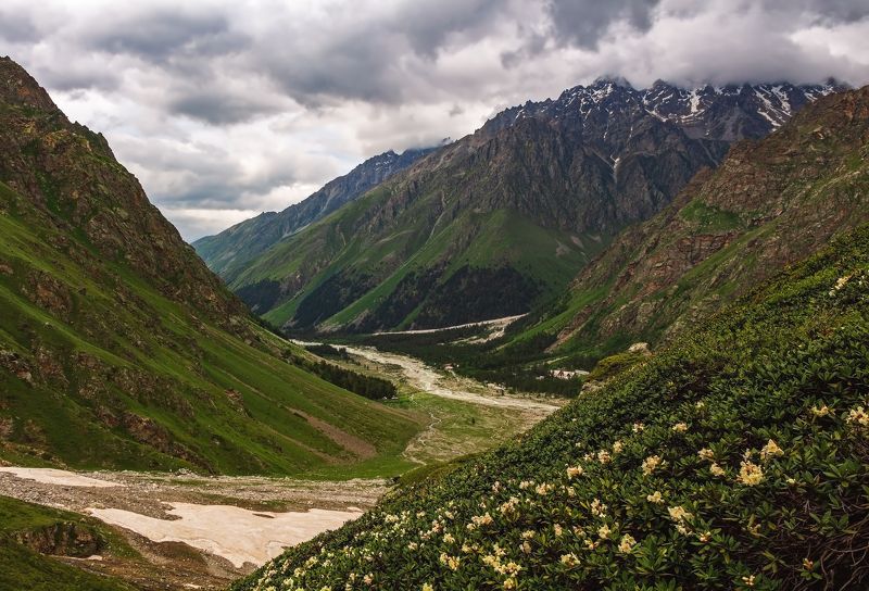 горы,восхождение,кавказ,облака горные цветы.... фото превью