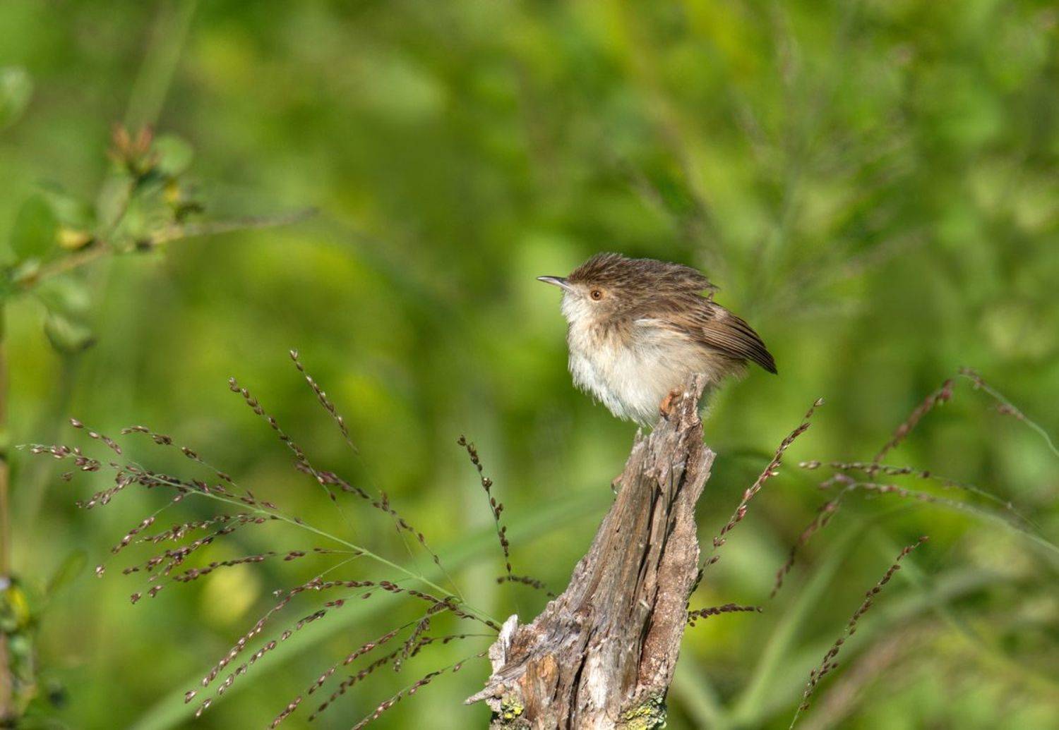 , Людмила Бекман