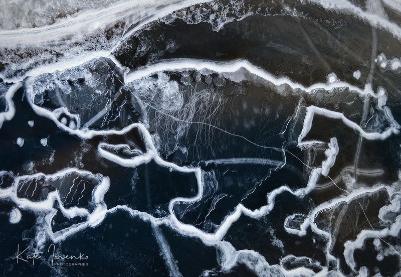 Динозаврик фото превью