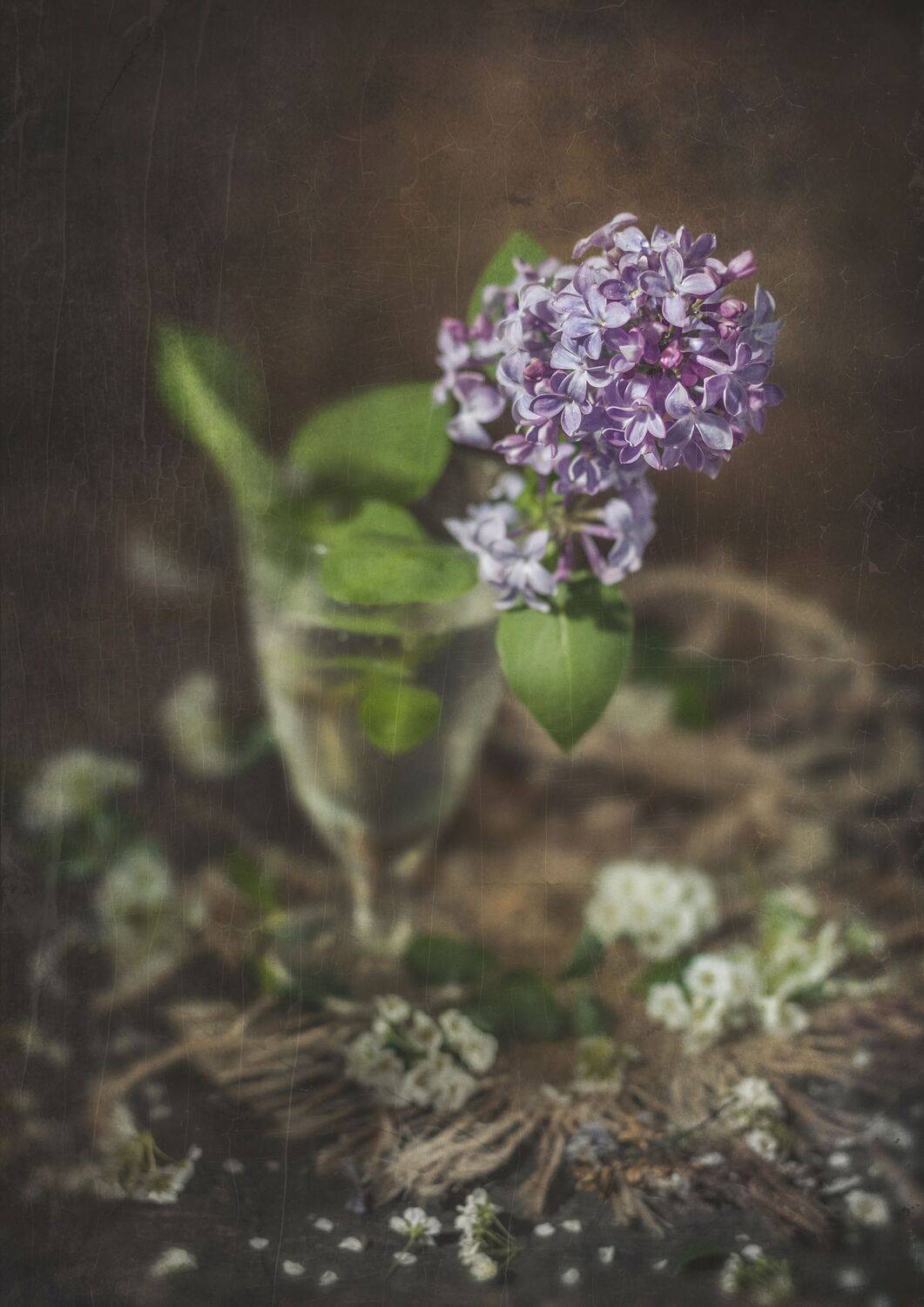 сирень,бокал,одиночество, Владимир Володин