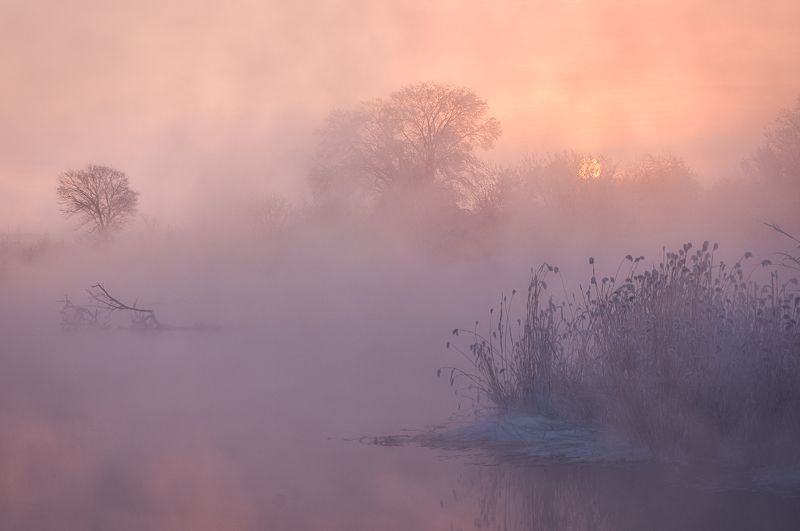 пейзаж, landscape, природа, nature, пейзажное фото, landscape photography, рассвет, sunrise, закат, sunset, закат на озере, sunset on the lake, озеро, lake, зимний пейзаж, winter landscape, курган, курганская область, зауралье, природа россии, russian nat Из серии фото превью