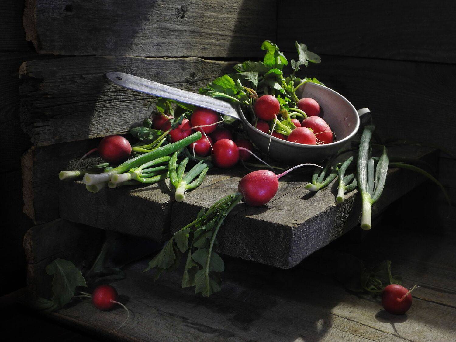 редис лук укроп петрушка зелень дача сад огород, Сергей Фунтовой