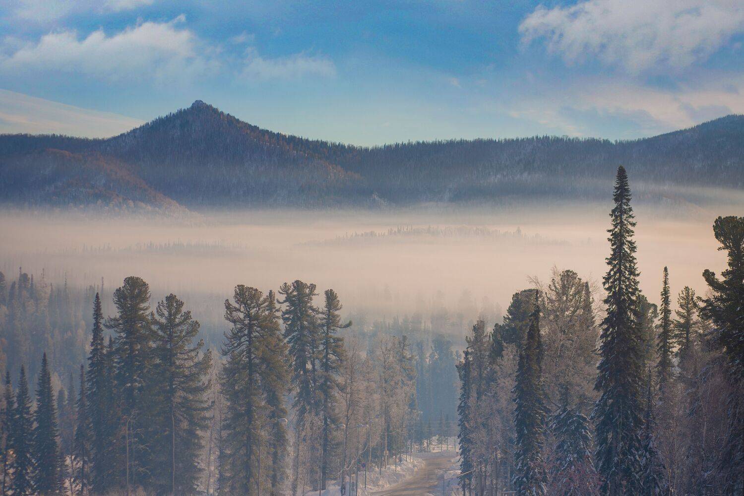 , Константин Буркин