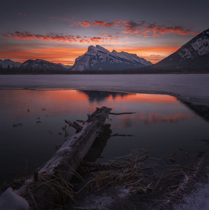 VER-MILLION DOLLAR VIEW фото превью