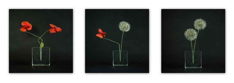 tryptyk фото превью