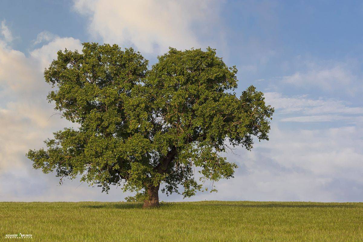 landscape,nature,природа, Мельников Александр