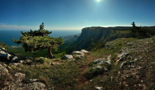 На вершине