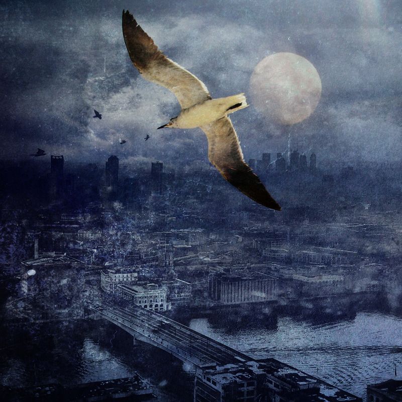 The End of the Beginning фото превью