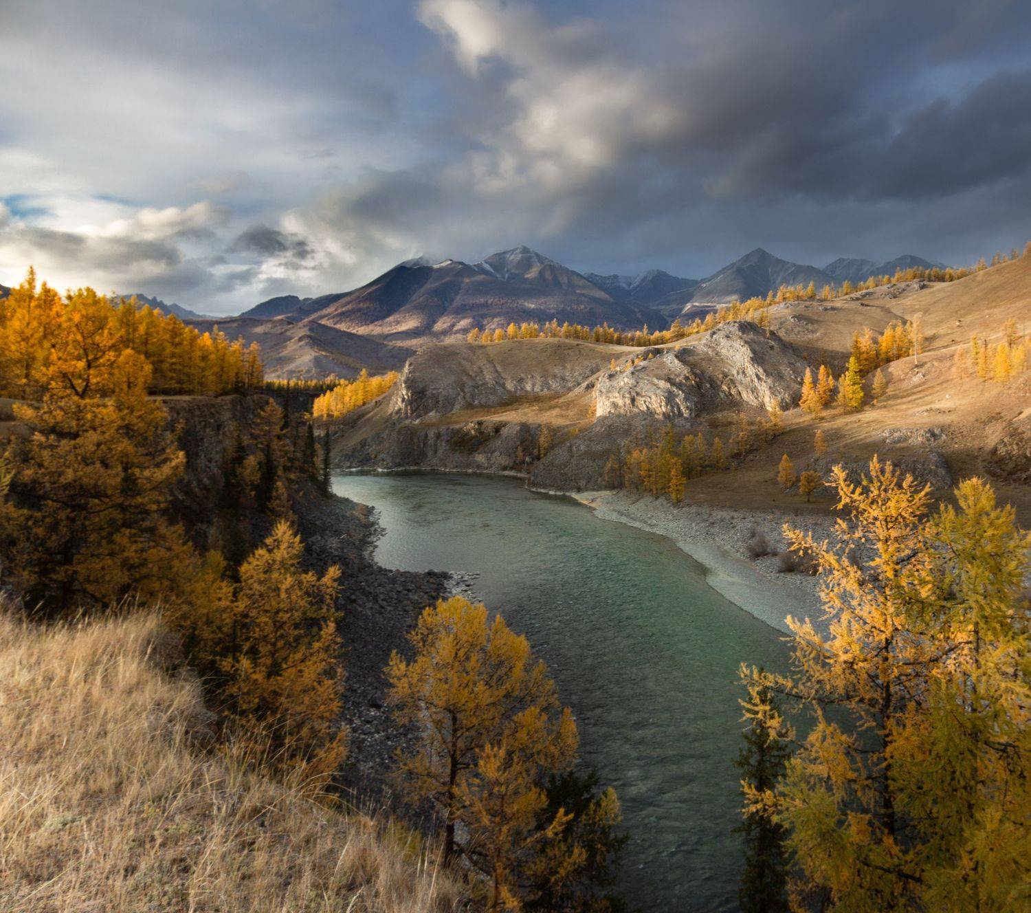 , Алексей Трофимов