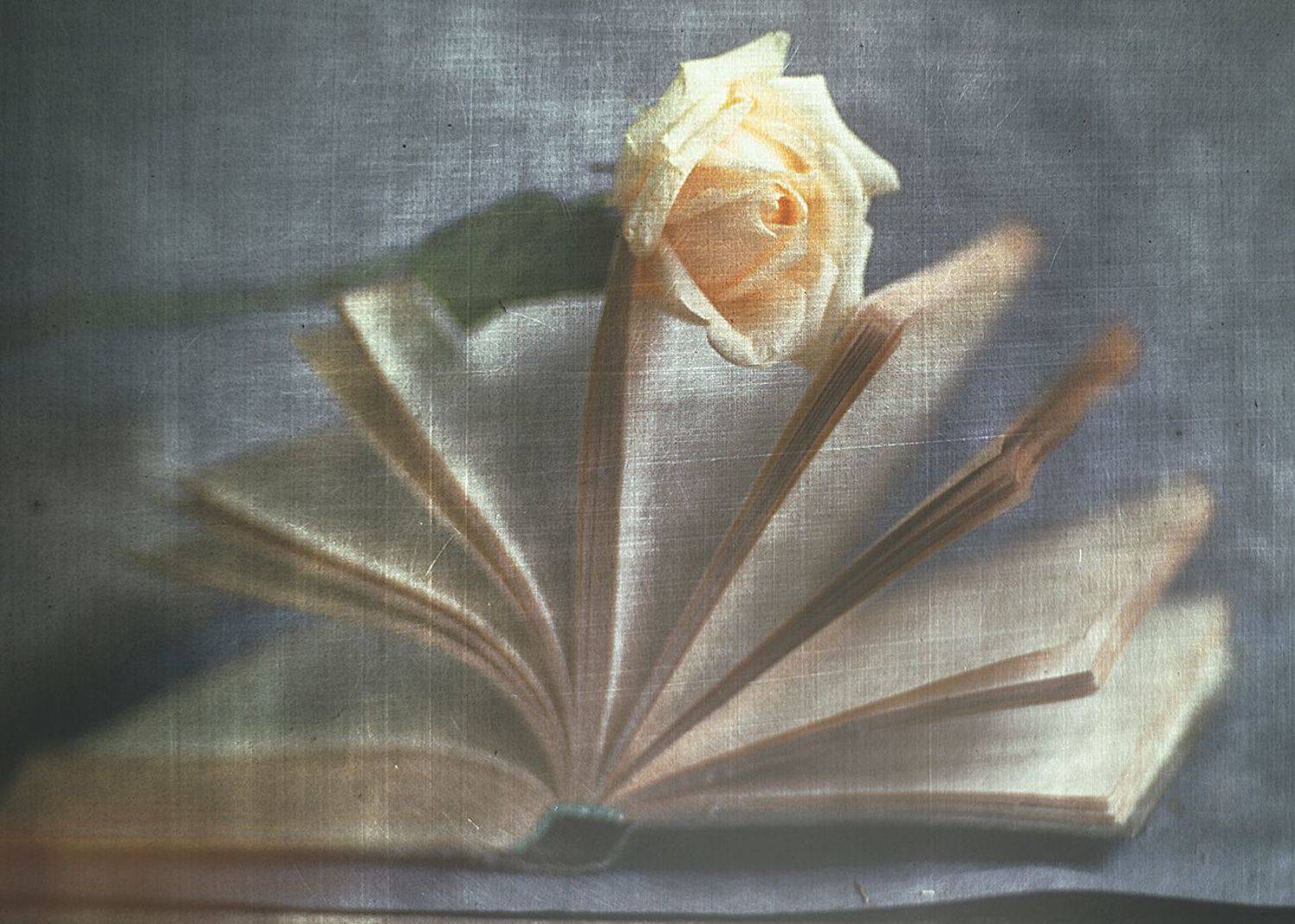 , Татьяна Аверина