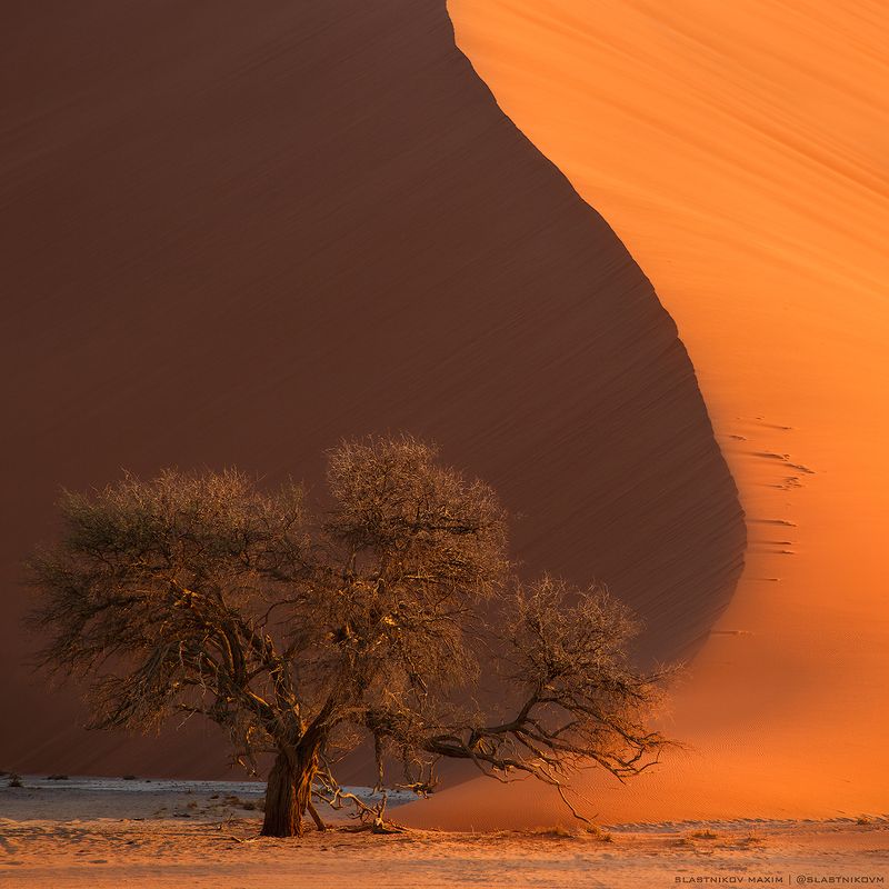 Намиб фото превью