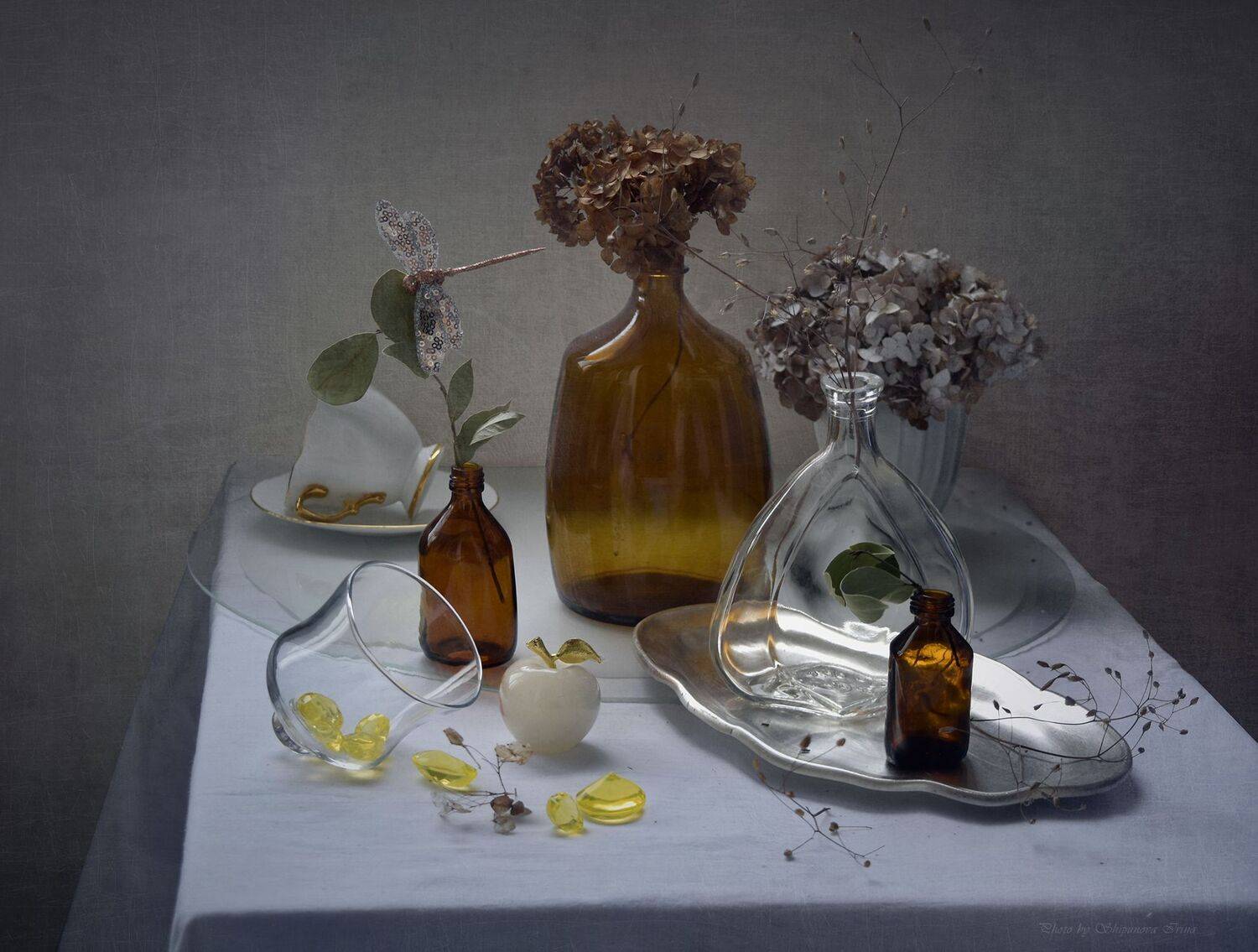 , Шипунова Ирина