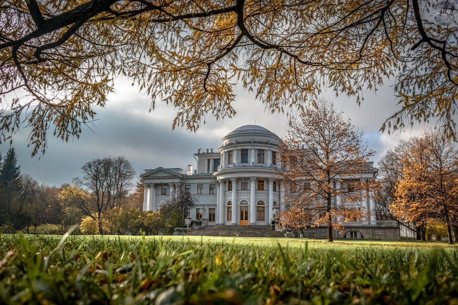 городской пейзаж, елагин остров, архитектура, Николай Беликов