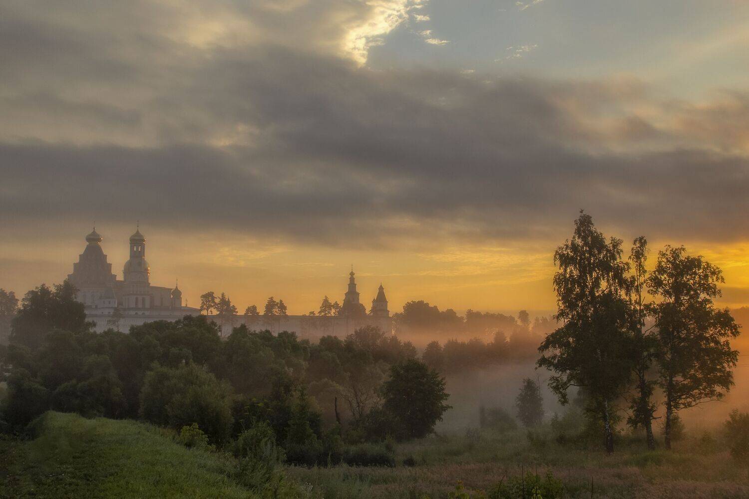 Истра, Гусева Елена