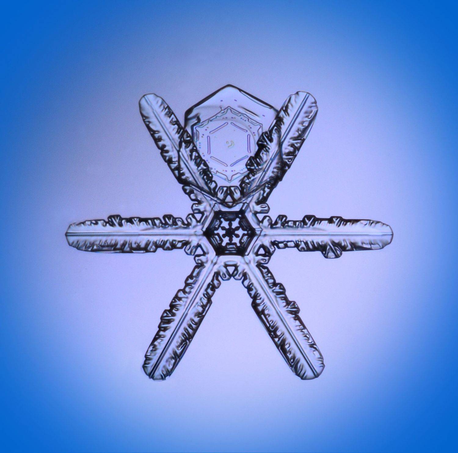 , Борис Риганов