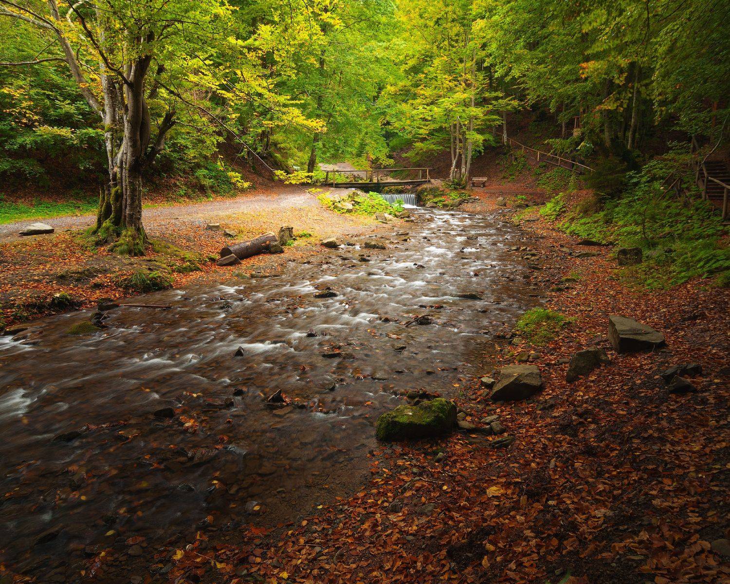 горы, карпаты, ручей, река, лес, украина, Назар Рябуха