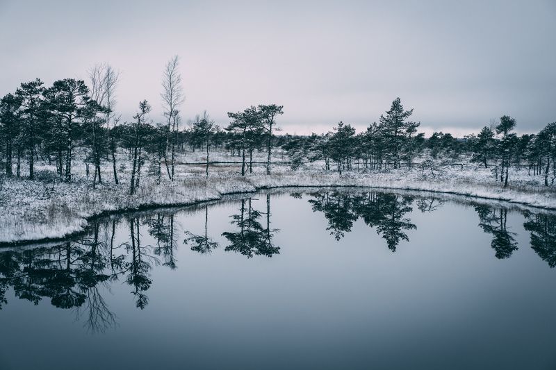 winter, sky, outdoor, new, frost, cover, environment, natural, snowy, beautiful, frozen, ice, forest, season, snow, nature,  Cold winter landscape frozen snow swamp Kemeri фото превью