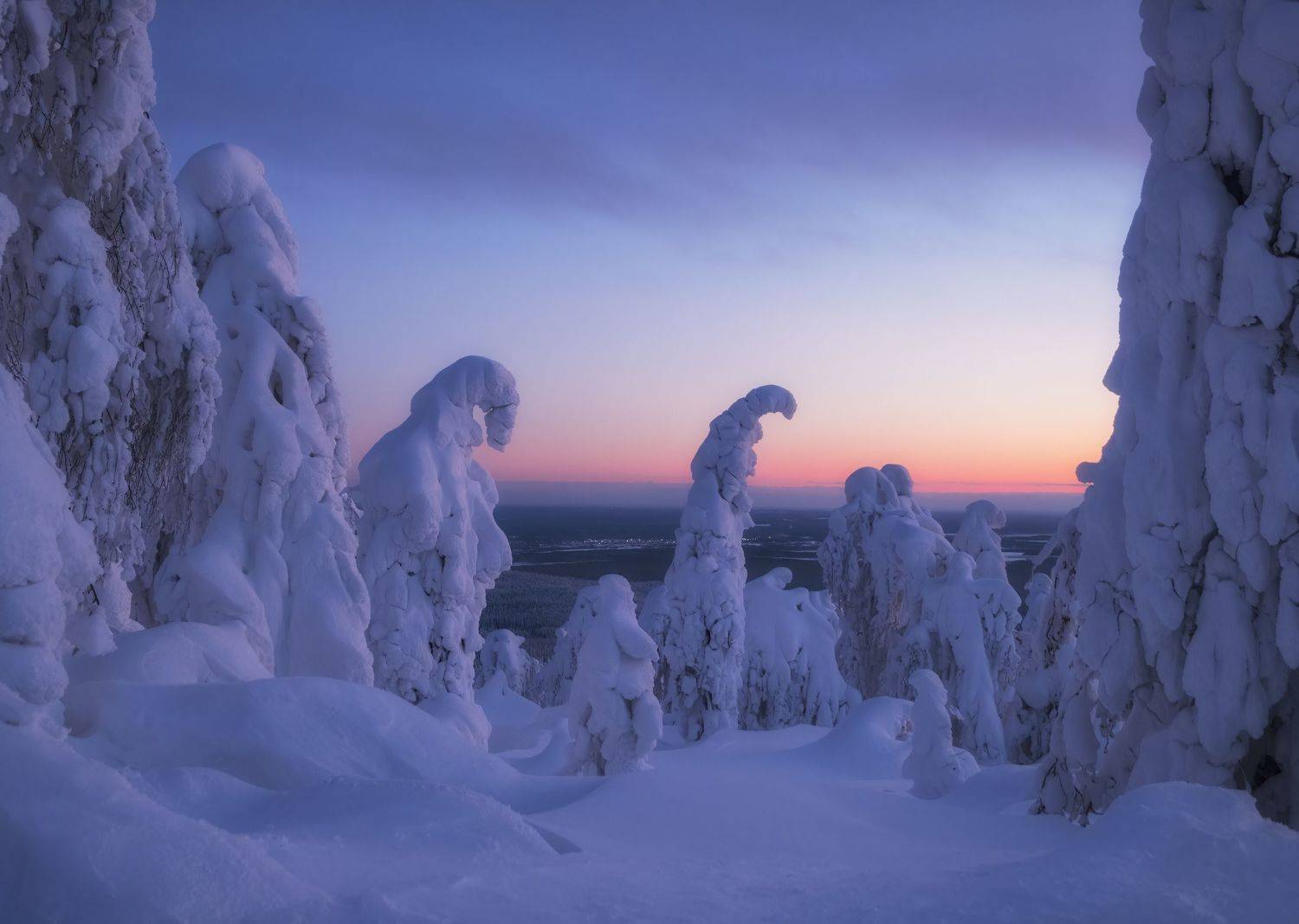 , Светлана Краюшкина