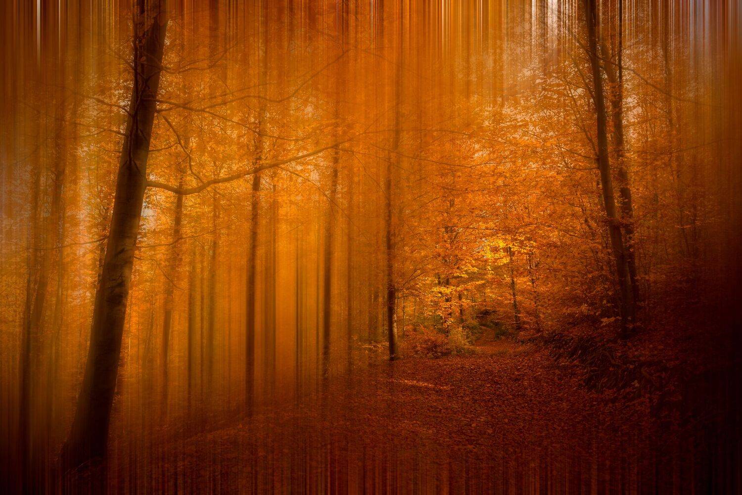 , Mariyana Atanasova - Lucero