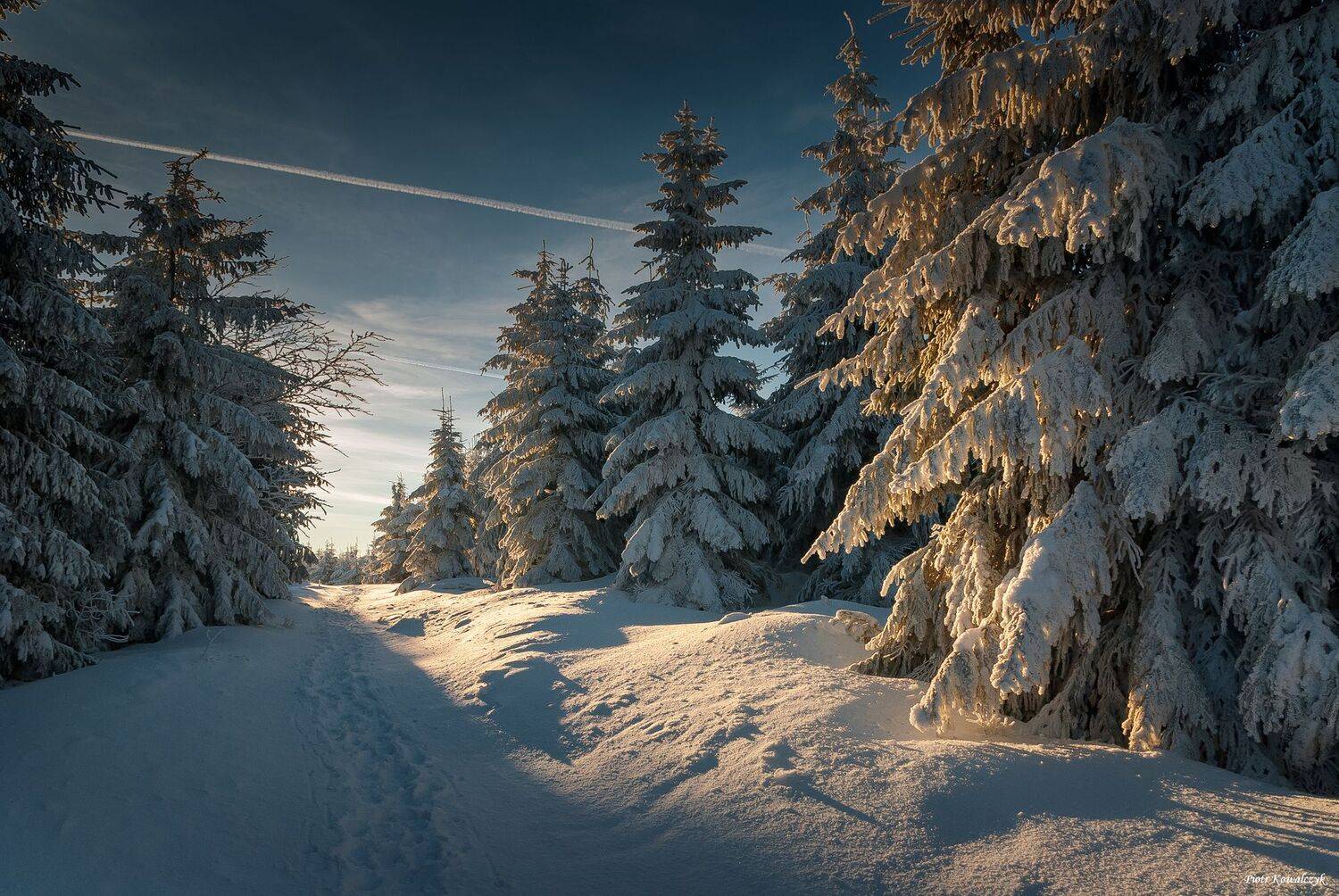 zima, las, Kowalczyk Piotr