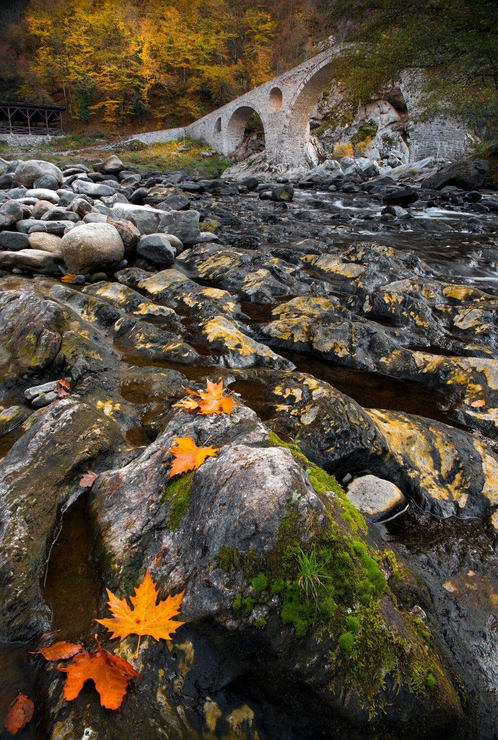 , Mariyana Atanasova - Lucero