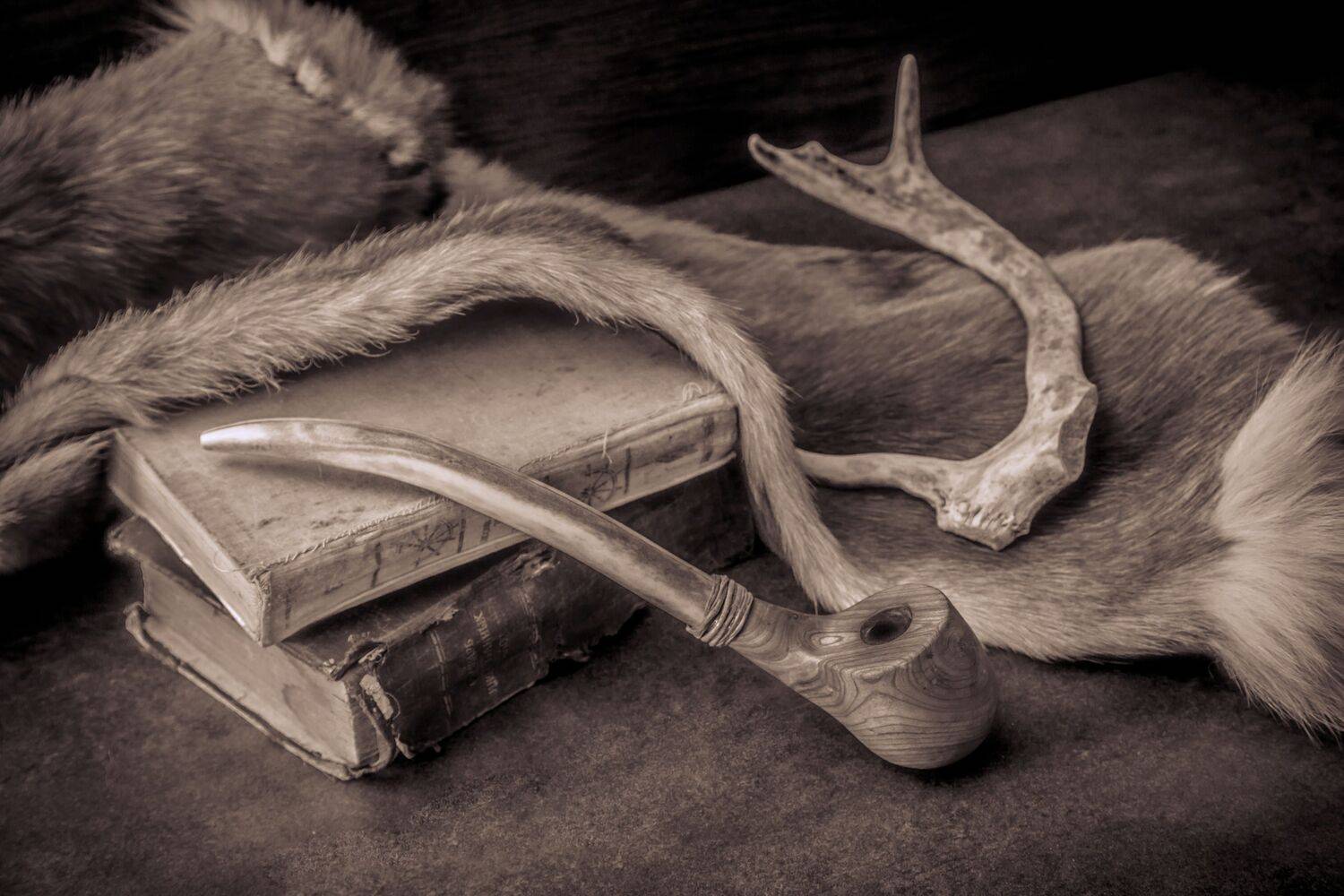 , Эльвира Сагдиева