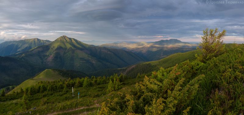 *** фото превью